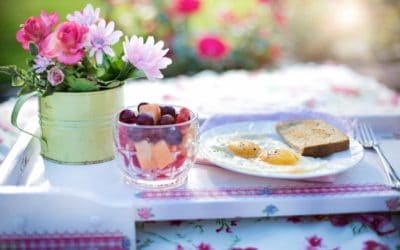 Jarac i njegova hrana