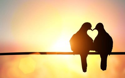 Zaljubljenost se lako uoči